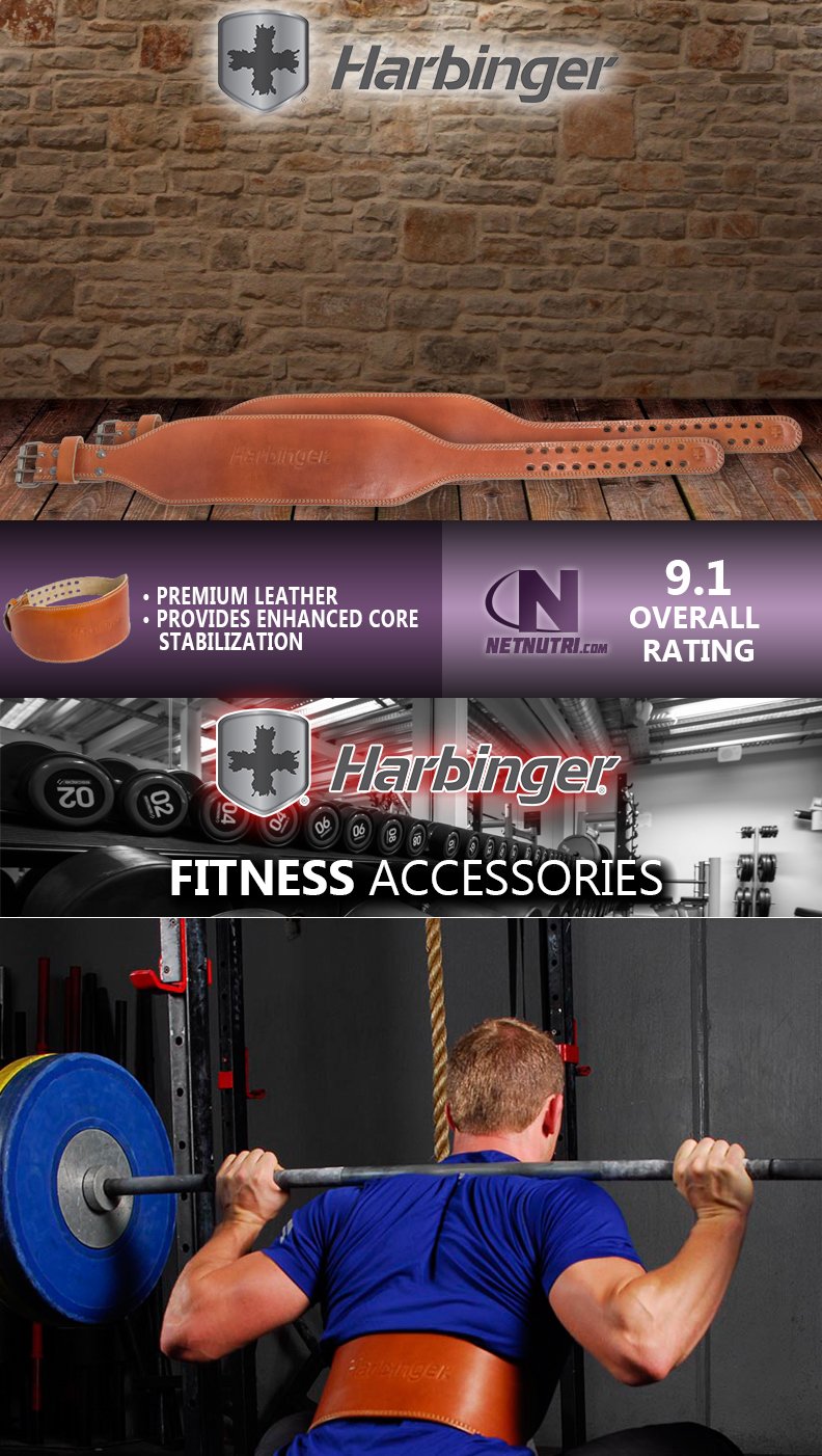 Harbinger Classic 6" Oiled Leather WeightLifting Belt sale at netnutri.com