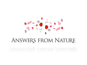 Answers From Nature