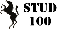 Stud 100