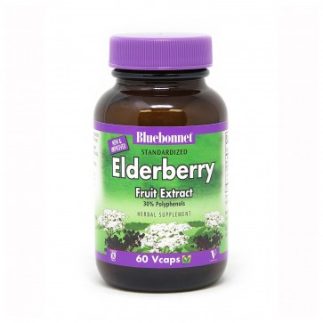 Bluebonnet Elderberry