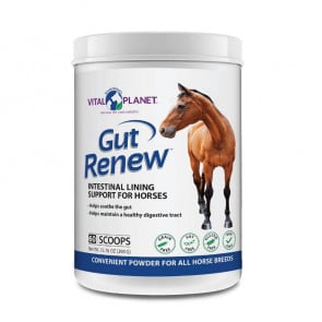 Gut Renew Intestinal Lining Support for Horses - 60 Scoops (390G)