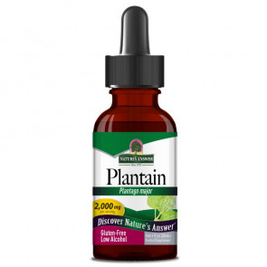 Plantain 2,000mg 1 fl oz by Natures Answer