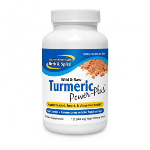 Turmeric Power Plus 120 Softgels by North American Herb and Spice
