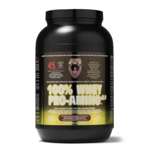 Healthy N Fit 100% Whey Pro-Amino Heavenly Chocolate 2 lbs