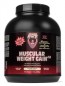 Healthy N Fit Muscular Weight Gain v3.0 Extreme Vanilla 4.4 lbs