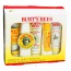 Burt's Bees - Essential Burt's Bees Skin Care Kit - 5 Piece(s)