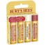 Burt's Bees Assorted Superfruit Lip Balm Value Pack - 4 Pack (4 x .15 oz. Tubes)