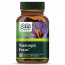 Gaia Herbs Nootropic Focus 40 Capsules