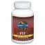 Garden of Life FYI Joint and Tissue Food 90 Caplets