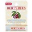 Burt's Bees Ultra Conditioning Lip Balm with Kokum Butter 0.15 oz - 1 - Lip Balm